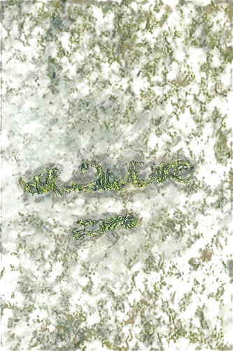 duckweed,hydrilla,azolla,watermilfoil,stigmella,macrophytes,aquatic herb,liverwort,liverworts,milfoil,tadpoles,zostera,aquatic plant,bryophytes,bryophyte,pondweed,trichophyton,aquatic plants,nettle leaves,pipefishes,Conceptual Art,Daily,Daily 19