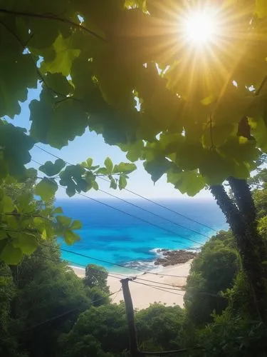 okinoshima,beautiful beach,dream beach,niijima,beach scenery,sun and sea,beautiful beaches,mountain beach,lanikai,tropical beach,summer background,machico,paradise beach,sun of jamaica,sunrise beach,bright sun,beach landscape,hawaii,bakumatsu,tropical sea,Photography,General,Realistic