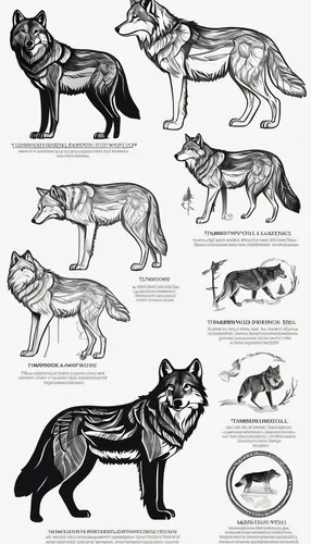 Design a majestic and elegant timberwolf logo for a luxury hotel.,animal shapes,canidae,animal icons,carnivores,wolves,big cats,line art animals,scandivian animals,werewolves,canis panther,mammals,wol