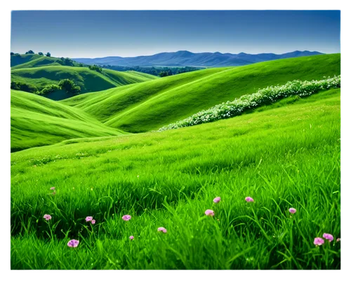 green landscape,grassland,meadow landscape,landscape background,green meadow,grasslands,green fields,tea field,green grass,salt meadow landscape,mountain meadow,mountain pasture,aaa,blooming grass,tea plantations,background view nature,ricefield,alpine meadow,nature landscape,lilies of the valley,Conceptual Art,Daily,Daily 16