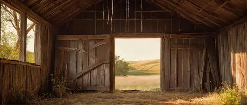 Rustic, abandoned, old wooden barns, rural landscape, rolling hills, overgrown with wildflowers, vines crawling up walls, distressed wood texture, corrugated metal roof, weathered doors, rusty farm to