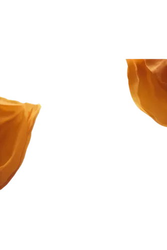 garridos,tulip background,diwali banner,garrisoned,monsoon banner,orange petals,garrisons,garrison,orange,pieces of orange,sunburst background,oranges,orange trumpet,cinema 4d,venus surface,banner set,orange slices,orang,garrisoning,orange tulips,Photography,Documentary Photography,Documentary Photography 08