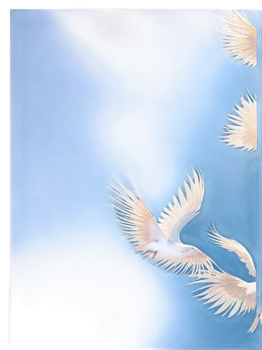 dove of peace,doves of peace,white feather,peace dove,bird feather,angel wing,bird wing,cygnes,angel wings,bird wings,pigeon feather,white dove,feathering,fantails,feather on water,feather,wing blue white,chicken feather,color feathers,parrot feathers,Illustration,Black and White,Black and White 22