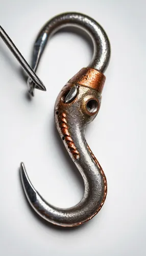 fish hook,brush hook,ringneck snake,shofar,jaw harp,carabiner,serpent,snake's head,pointed snake,door knocker,fishing lure,jew's harp,conger eel,snakebite,rod of asclepius,cavalry trumpet,african house snake,cobra,king cobra,house key,Unique,3D,Panoramic