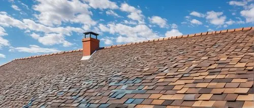 tiled roof,roof tiles,roof tile,slate roof,shingled,roof landscape,sand-lime brick,repointing,clay tile,thatch roof,house roof,house roofs,almond tiles,tiles shapes,roof plate,roofline,tiled wall,shingling,gable field,roofing work,Conceptual Art,Daily,Daily 31