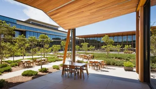 landscape designers sydney,landscape design sydney,googleplex,garden design sydney,medibank,unsw,technion,monash,swinburne,seidler,tuggeranong,gensler,northbourne,ucsd,landcare,energyaustralia,calpers,genentech,hallward,wantirna,Conceptual Art,Fantasy,Fantasy 06