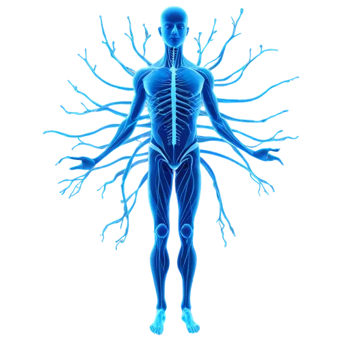 divine healing energy,liposomal,lymphatic,osteopathy,fibromyalgia,chiroscience,energy healing,polyneuropathy,the human body,electrostimulation,microcirculation,bioenergetics,acupuncturists,naturopathy,autonomic,osteopaths,neuromuscular,inflammations,endocannabinoids,energetics,Conceptual Art,Daily,Daily 29