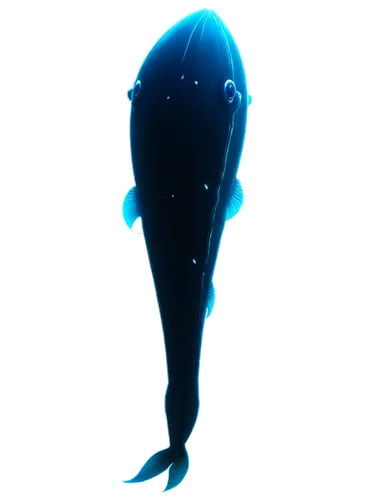 bioluminescent,luminol,bioluminescence,moonman,bulb,light cone,cinema 4d,mermaid silhouette,protoplasm,orduna,flagella,spearhead,tron,thatgamecompany,blue lamp,lightman,renderman,coldfoot,blue light,noctilucent,Conceptual Art,Daily,Daily 18