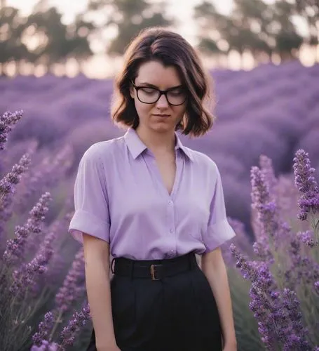 lilacs,lavender fields,lavender,lavender field,lavender bunch,mauve,lavandula,lilac arbor,lavendar,the lavender flower,vintage lavender background,la violetta,lavenders,california lilac,violet,lilac,purple background,sea-lavender,with glasses,lavander,Photography,Natural