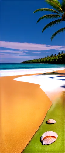 beach landscape,tropical beach,beautiful beaches,beach scenery,beach grass,brazilian beach,greens beach,dream beach,caribbean beach,pink beach,mauritius,beautiful beach,waikoloa,seashore,rarotonga,hawaii,summer beach umbrellas,paradise beach,castaway beach,cook islands,Art,Artistic Painting,Artistic Painting 38