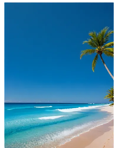 Sunny beach scene, palm trees swaying gently, turquoise ocean water, white foam waves, golden sandy shore, clear blue sky, few puffy clouds, warm sunlight, shallow depth of field, 3/4 composition, vib