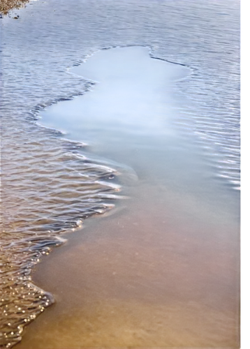 Puddle, transparent background, shallow water, rippled surface, sunlight reflection, subtle wave movement, realistic texture, detailed edges, soft focus, 3/4 composition, warm color tone, cinematic li