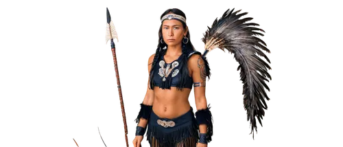 feather headdress,warrior woman,tribal arrows,aborigine,tribal chief,indian headdress,american indian,headdress,the american indian,female warrior,cherokee,hawk feather,native american,native,aboriginal culture,pocahontas,arrowheads,aboriginal,amerindien,bow and arrows,Illustration,Vector,Vector 15