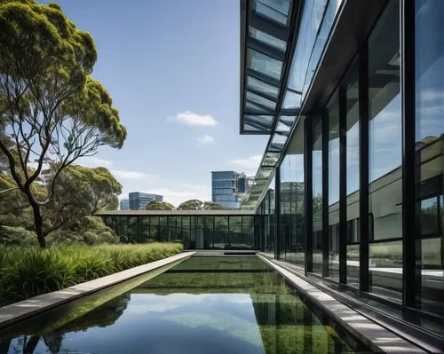 landscape designers sydney,landscape design sydney,garden design sydney,royal botanic garden,seidler,unsw,medibank,gulbenkian,bunshaft,conservatorium,burswood,vasse,wurundjeri,glass facade,boroondara,glasshouse,meriton,bundoora,amanresorts,pymble,Illustration,Black and White,Black and White 02