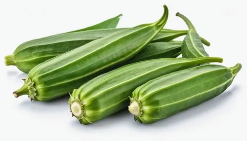 Green Okras isolated on the white background. Okra clipping path.,propagules,okra,poblano,rajas,fava,nopales,moong bean,pea,legume,cowpea,fragrant peas,cornichons,kacang,nopal,friulano,serrano peppers