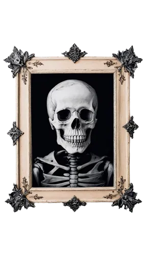 halloween frame,decorative frame,day of the dead frame,vintage skeleton,wood frame,skull bones,wooden frame,silver frame,ivy frame,memento mori,christmas frame,art deco frame,floral frame,fall picture frame,framed paper,digital photo frame,frame illustration,holding a frame,art nouveau frame,botanical frame,Illustration,Paper based,Paper Based 01