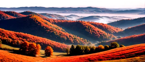 autumn mountains,alpine landscape,mountainous landscape,landscape background,mountain scene,mountain landscape,nagaland,carpathians,japanese mountains,landscape red,autumn landscape,himachal,panoramic landscape,planina,anana mountains,japanese alps,beech mountains,autumn background,ravine red romania,salt meadow landscape,Illustration,Black and White,Black and White 12