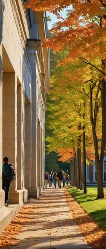 tree-lined avenue,tree lined avenue,garrison,swarthmore,fall landscape,the trees in the fall,kansai university,ubc,autumn background,yonsei,peristyle,tree lined lane,autumn scenery,autuori,oberlin,defense,uct,uva,autumn in the park,intercollegiate,Illustration,Paper based,Paper Based 21