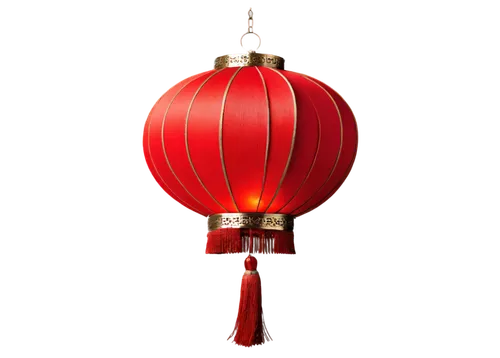 oriental lantern,red lantern,christmas lantern,guobao,asian lamp,japanese lantern,hanging lantern,japanese lamp,lampion,pallonji,illuminated lantern,christmas bulb,jinbao,red balloon,lampion flower,mid-autumn festival,japanese paper lanterns,barongsai,table lamp,baijiu,Photography,Black and white photography,Black and White Photography 11