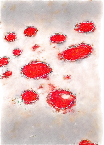 Microscopic view, blood cells, red liquid droplets, stool sample, petri dish, laboratory setting, high magnification, detailed texture, realistic shading, warm color tone, close-up composition, shallo