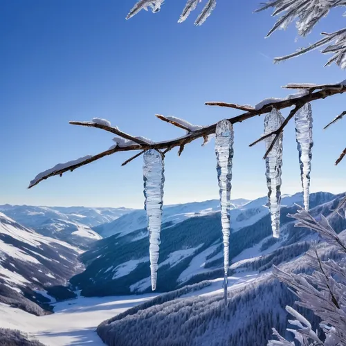 Craft a poem that portrays the ethereal allure of an icicle hanging from a branch, reflecting the morning sunlight like a delicate crystal.,icicles,icicle,crampons,ortler winter,ski equipment,ski tour