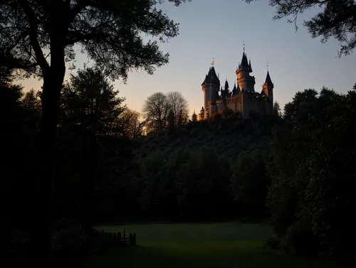 A castle seen through a forest at twilight,hogwarts,fairy tale castle,fairytale castle,fairy tale castle sigmaringen,hohenzollern castle,cinderella's castle,disney castle,sleeping beauty castle,fairyt