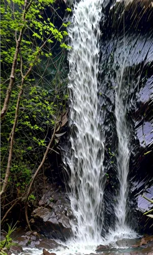 bridal veil fall,water falls,water fall,brown waterfall,cheonjiyeon falls,cascade,waterfall,water flowing,cascading,cachoeira,cascada,ash falls,water flow,cascades,falls,chikmagalur,rushing water,waterflow,outfalls,pinfalls