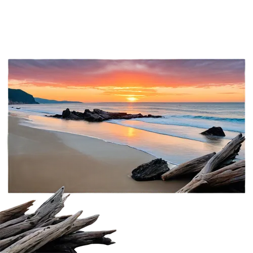 wood and beach,driftwood,beach landscape,landscape background,paparoa national park,background vector,sunrise beach,beach scenery,wooden planks,coastal landscape,wooden background,beach background,coastal and oceanic landforms,sunset beach,new south wales,wood background,mountain beach,background images,byron bay,backgrounds texture,Illustration,Abstract Fantasy,Abstract Fantasy 17