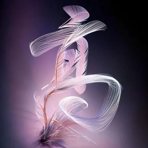 sylphs,apophysis,swan feather,plumes,white feather,drawing with light