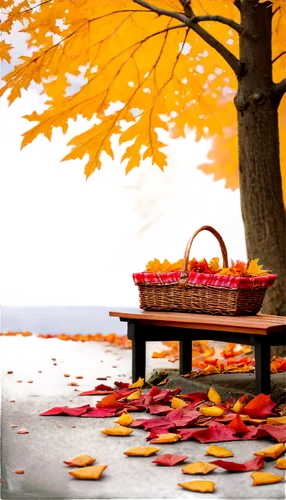 autumn background,autumn scenery,autumn theme,autumn day,autumn frame,autumn idyll,autumn songs,autumn morning,autumn landscape,autumn,just autumn,autumn still life,one autumn afternoon,thanksgiving background,autumn leaves,autumn season,the autumn,autumn decoration,autumn taste,round autumn frame,Illustration,Paper based,Paper Based 05