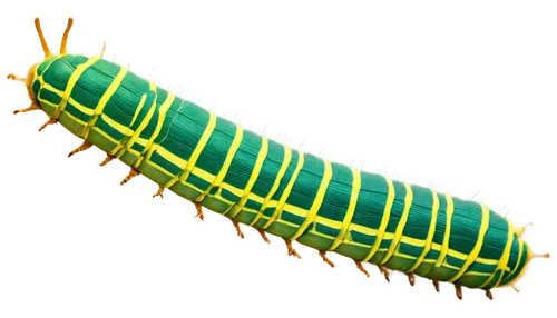 centipede,bilayer,millipede,transmembrane,phertzberg,wurm,mitochondrion,microtubule,citronella,chrysolepis,shuttlecock,chaturanga,trilobyte,flagellum,flagella,boligee,mitochondrial,pupal,chloropaschia,autochloris,Illustration,Black and White,Black and White 28