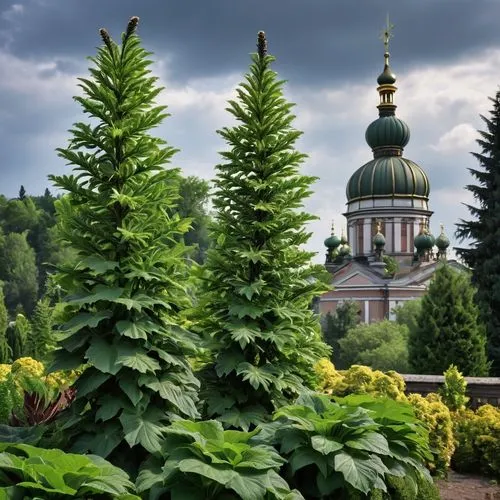 peterhof palace,pavlovsk,peterhof,gatchina,kadriorg,tsaritsyno