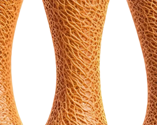 human leg,woman's legs,leg bone,women's legs,leg,giraffe plush toy,stems,noodle image,banksia,strozzapreti,seamless pattern repeat,greater galangal,spines,legg,seamless texture,horsetail,galangal,trypophobia,gradient mesh,ramaria,Illustration,Black and White,Black and White 18