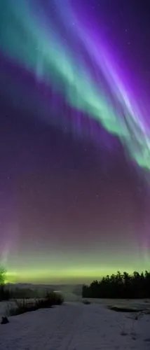 northern lights,northen lights,the northern lights,auroras,aurora australis,northern light