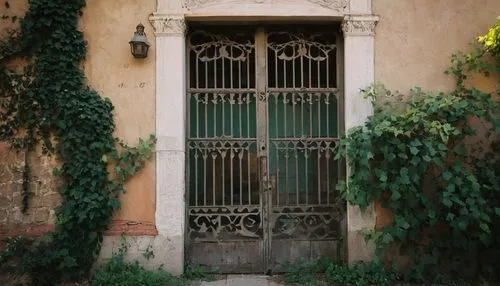 sicily window,old door,old windows,old window,garden door,ventanas,french windows,ventana,window with shutters,window with grille,sonmiani,lubitel 2,casalesi,wrought iron,front door,giarratano,giardino,barretos,doorway,main door,Unique,Paper Cuts,Paper Cuts 05