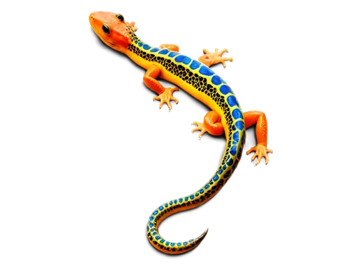 salamander,garridos,malagasy taggecko,diwali background,draconic,lagarto,fire salamander,diwali banner,spiralfrog,diwali wallpaper,geck,geckos,gecko,dragon design,micrurus,tetrodotoxin,varanus,basilisks,constellation snake bearer,missisipi aligator,Illustration,Retro,Retro 06