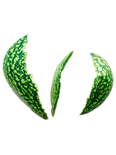 spring leaf background,verde,spiralis,chloropaschia,serrano peppers,greenhorns,seedpod,patrol,leaf background,aloe vera leaf,asparagaceae,horn cucumber,cornichons,fern leaf,pea,aspidistra,aaaa,leaf fern,green leaf,cactus digital background,Photography,Documentary Photography,Documentary Photography 29