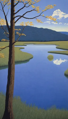 freshwater marsh,salt meadow landscape,tidal marsh,marsh,river landscape,wetlands,meadow landscape,lake santa fe,salt marsh,spring lake,high mountain lake,wetland,japan landscape,lake tanuki,oxbow lake,alpine lake,floodplain,natural landscape,nature landscape,brook landscape,Illustration,Retro,Retro 15