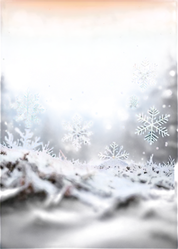 snowflake background,christmas snowy background,winter background,christmasbackground,snow flakes,snow flake,christmas snowflake banner,white snowflake,christmas background,snowflakes,snowfalls,ice crystal,snow crystals,blue snowflake,frosts,frostiness,snow scene,christmas snow,snowfall,snowsill,Photography,Documentary Photography,Documentary Photography 22