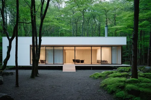 house in the forest,cubic house,archidaily,japanese architecture,timber house,cube house,modern house,frame house,forest chapel,modern architecture,dunes house,ryokan,mid century house,summer house,mirror house,residential house,forest workplace,japanese-style room,house in mountains,folding roof,Photography,General,Fantasy