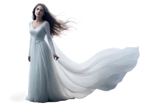 sigyn,girl in a long dress,melian,galadriel,white rose snow queen,white winter dress,sirenia,nightdress,wedding gown,a floor-length dress,arwen,celtic woman,peignoir,the snow queen,fairy queen,belldandy,amalthea,kahlan,wedding dress,bridal gown,Illustration,Abstract Fantasy,Abstract Fantasy 19