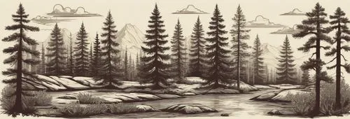 西部乡村森林复古元素矢量图,this black and white drawing depicts trees, water and clouds,forests,the forests,spruce forest,coniferous forest,forest landscape,forest background,Illustration,Retro,Retro 20