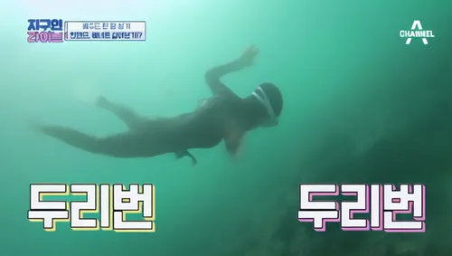 cube sea,sewol ferry disaster,sewol ferry,dive dee,busan sea,underwater background,underwater diving,dive,cube background,gangneung,divemaster,media concept poster,jumping off,the law of the jungle,diving bird,the people in the sea,scuba diving,diving,sujeonggwa,deep sea diving