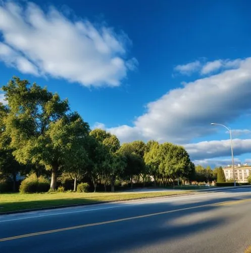 中午，蓝色天空，街道，人行道,tree-lined avenue,tree lined lane,city highway,coastal road,the boulevard arjaan,national highway,bicycle path,chestnut avenue,gregory highway,road surface,country road,landscape backgr