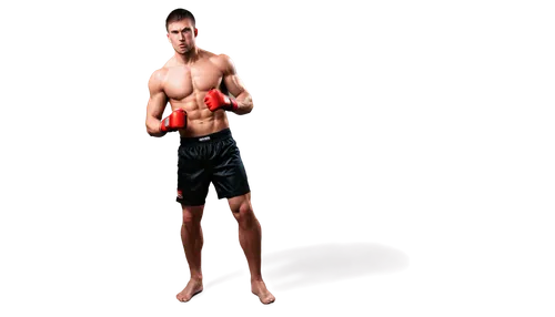 siam fighter,muaythai,derivable,hakan,muay thai,sanshou,png transparent,buakaw,shadowboxing,pugilist,khru,muayad,lumpinee,tszyu,sparr,sparred,calzaghe,3d render,3d rendered,kickboxing,Illustration,Japanese style,Japanese Style 15