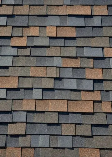 roof tiles,roof tile,tiled roof,shingled,slate roof,shingles,shingle,house roofs,house roof,roofing,slates,roofing work,roof plate,shingling,roof panels,tiles shapes,tegula,roof landscape,sand-lime brick,gabled,Conceptual Art,Fantasy,Fantasy 07