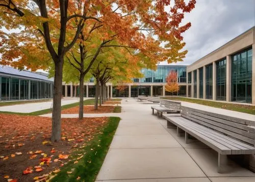 Ohio State University, architectural design school, modern building, glass facade, steel beams, concrete walls, green roof, solar panels, open courtyard, fountain, walking path, autumn leaves, cloudy 