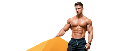 derivable,3d figure,3d rendered,body building,3d man,3d render,3d rendering,renders,3d background,torso,3d model,obliques,gynecomastia,abdominis,render,hrithik,male poses for drawing,clenbuterol,sculpt,polykleitos,Unique,3D,Isometric