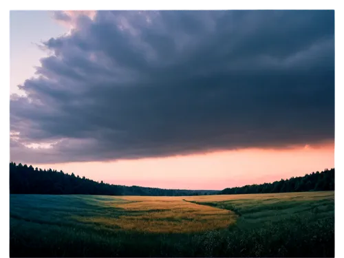 ore mountains,wheat field,thuringia,grain field panorama,landscape photography,wheat fields,grasslands,northern black forest,grassland,wheat crops,landscape background,cornfield,barley field,grain field,meadow landscape,wheat grasses,bucovina,corn field,sauerland,carpathians,Illustration,Realistic Fantasy,Realistic Fantasy 33