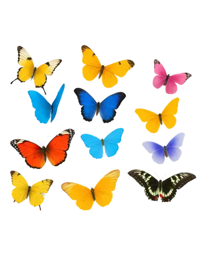 butterfly background,butterfly vector,butterfly clip art,rainbow butterflies,mariposas,butterflies,papillons,flowers png,butterfly,ornithoptera,butterfly pattern,morphos,butterfly isolated,french butterfly,c butterfly,butterfly floral,tropical butterfly,butterfly day,butterfly wings,ulysses butterfly,Art,Classical Oil Painting,Classical Oil Painting 14